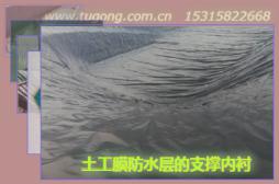 土工膜防水層的支撐內(nèi)襯