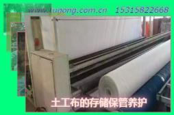 Ĵ惦Bo